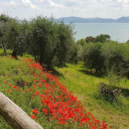 Antica Casa Di Famiglia Hotel กัสติลโยเน เดล ลาโก ภายนอก รูปภาพ
