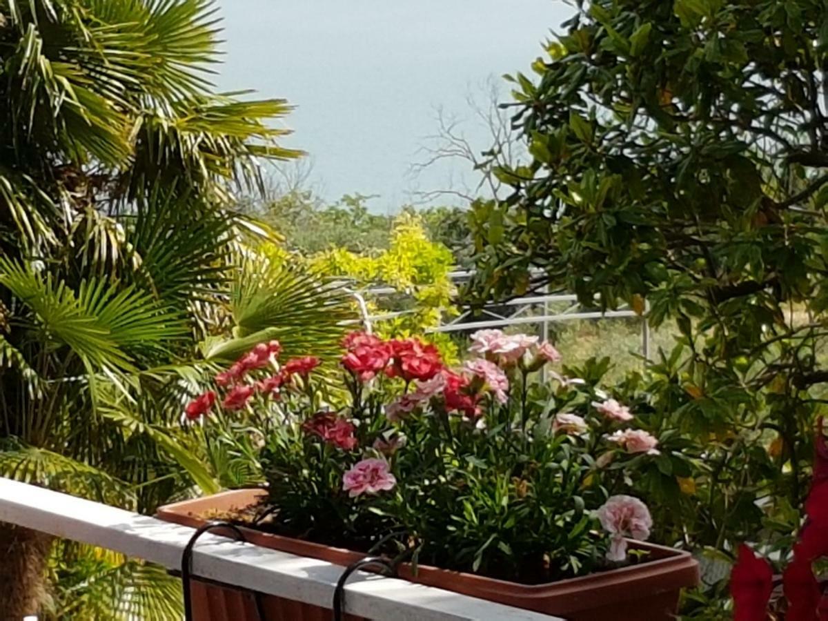 Antica Casa Di Famiglia Hotel กัสติลโยเน เดล ลาโก ภายนอก รูปภาพ