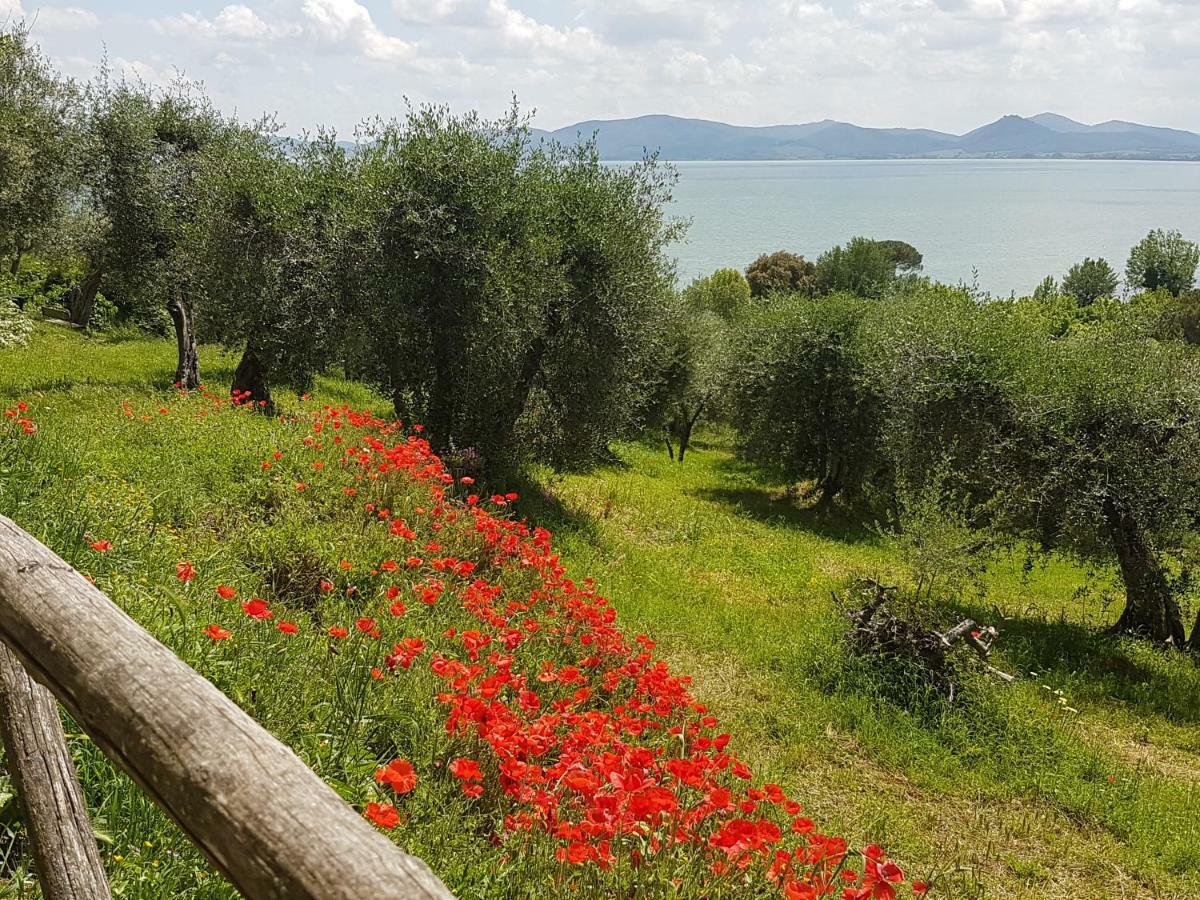 Antica Casa Di Famiglia Hotel กัสติลโยเน เดล ลาโก ภายนอก รูปภาพ